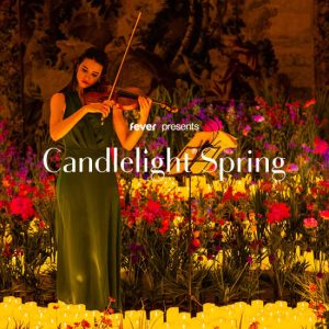 Candlelight Spring:  Rings and Dragons at The Gladstone Theatre, Ottawa, Canada Cdxb.com Special Offers, Deals & Discounts in Canada