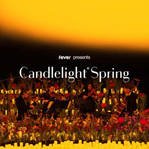 Candlelight Spring: Tribute to Metallica at Metropolitan Community Church of Toronto, Toronto, Canada Cdxb.com Special Offers, Deals & Discounts in Canada