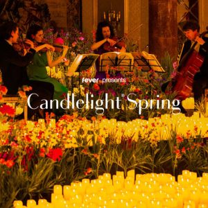 Candlelight Spring: Tribute to Nirvana at Betty Andrews Recital Hall, Edmonton, Canada Cdxb.com Special Offers, Deals & Discounts in Canada