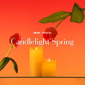 Candlelight Spring: Tribute to Queen and The Beatles at Betty Andrews Recital Hall, Edmonton, Canada Cdxb.com Special Offers, Deals & Discounts in Canada