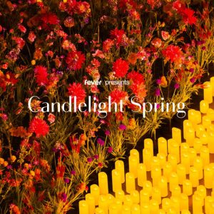 Candlelight Spring: Vivaldi’s Four Seasons at Betty Andrews Recital Hall, Edmonton, Canada Cdxb.com Special Offers, Deals & Discounts in Canada