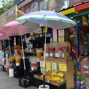 Kensington Market, Chinatown and the Art Gallery of Ontario: A Self-Guided Tour at Grange Park Dog Off Leash Area, Toronto, Canada Cdxb.com Special Offers, Deals & Discounts in Canada