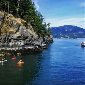 Morning Kayak & Seal Cruise at 6373 Bruce St,, Vancouver, Canada Cdxb.com Special Offers, Deals & Discounts in Canada