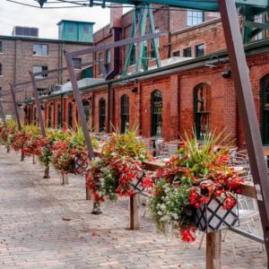 Toronto Guided City Tour + Harbour Cruise at Amsterdam Brewhouse, Toronto, Canada Cdxb.com Special Offers, Deals & Discounts in Canada