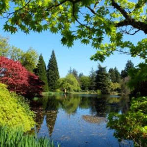 VanDusen Botanical Garden: A green city-centre oasis at VanDusen Botanical Garden, Vancouver, Canada Cdxb.com Special Offers, Deals & Discounts in Canada