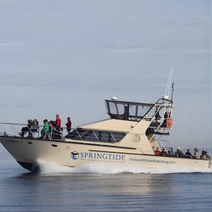 Victoria Whale Watch Tour at 1119 Wharf St, Victoria, Canada Cdxb.com Special Offers, Deals & Discounts in Canada