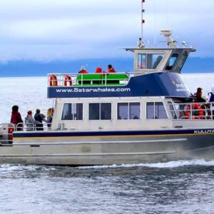 Whale Watching Cruise with Expert Naturalists at Five Star Whale Watching, Victoria, Canada Cdxb.com Special Offers, Deals & Discounts in Canada