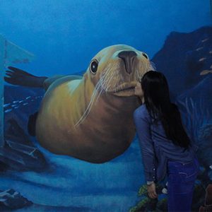 3d World Selfie Museum Dubai – Museums Cdxb.com Special Offers, Deals & Discounts in Canada