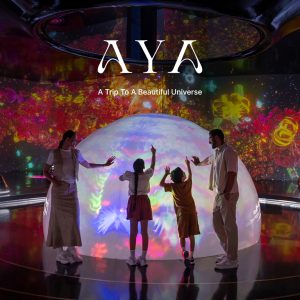 AYA  Universe Dubai – Indoor Attractions Cdxb.com Special Offers, Deals & Discounts in Canada