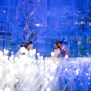 AYA and House of Hype Discover Pass – Combos and more adventures Cdxb.com Special Offers, Deals & Discounts in Canada