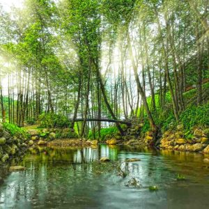 Daily Sapanca and Masukiye Tour: Full-Day Trip From Istanbul – Sightseeing and Tours Cdxb.com Special Offers, Deals & Discounts in Canada
