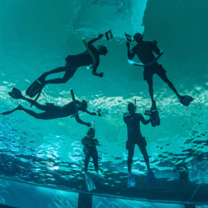 Deep Dive Dubai Surface Snorkeling Experience – Water Sports Cdxb.com Special Offers, Deals & Discounts in Canada