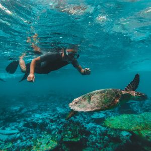 Dive & Snorkel Trips in Fujairah – Water Sports Cdxb.com Special Offers, Deals & Discounts in Canada