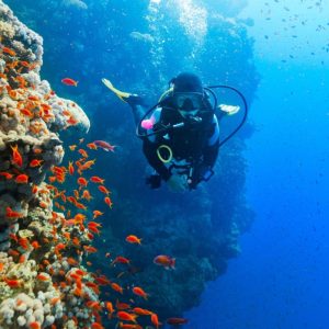 Diving Experience in Khasab – Outdoor Attractions Cdxb.com Special Offers, Deals & Discounts in Canada