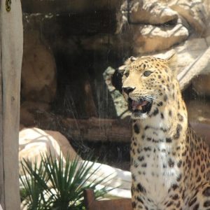 Emirates Park Zoo – Experiences Cdxb.com Special Offers, Deals & Discounts in Canada