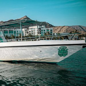 Exclusive Boating Experience – Dolphins Watching – Sightseeing and Tours Cdxb.com Special Offers, Deals & Discounts in Canada