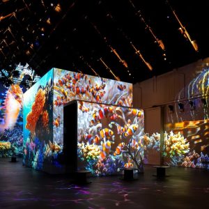 Fabrique des Lumières: The Sea – Recently Added Experiences Cdxb.com Special Offers, Deals & Discounts in Canada
