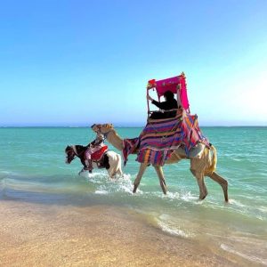 Full Day Obhur & Beach Tour With Transfers – Recently Added Experiences Cdxb.com Special Offers, Deals & Discounts in Canada