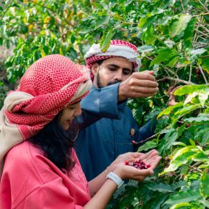 Hike with a local coffee farmer – Recently Added Experiences Cdxb.com Special Offers, Deals & Discounts in Canada