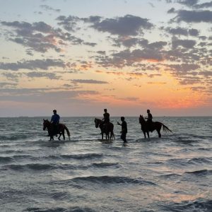 Horse Riding in Jeddah – Experiences Cdxb.com Special Offers, Deals & Discounts in Canada