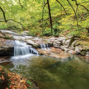 Istanbul: Day Trip to Scenic Sapanca, Masukiye and Kartepe – Recently Added Experiences Cdxb.com Special Offers, Deals & Discounts in Canada