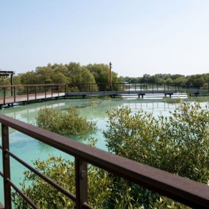 Jubail Mangrove Park – Boardwalk Experience – Recently Added Experiences Cdxb.com Special Offers, Deals & Discounts in Canada