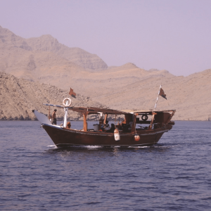 Muscat Dolphin Cruise With Shared Transfers – Recently Added Experiences Cdxb.com Special Offers, Deals & Discounts in Canada