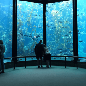 Oman Aquarium – Experiences Cdxb.com Special Offers, Deals & Discounts in Canada