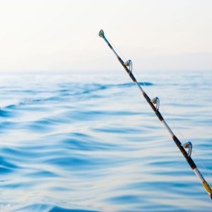 Private fishing boat tour – Sightseeing and Tours Cdxb.com Special Offers, Deals & Discounts in Canada