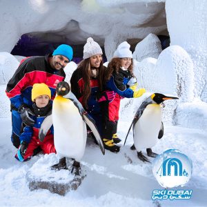 Ski Dubai: Snow Premium with Penguin Encounter – Must-see attractions Cdxb.com Special Offers, Deals & Discounts in Canada
