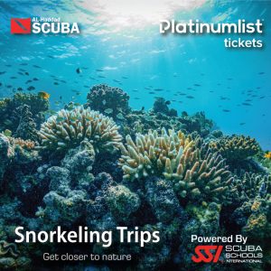 Snorkeling Daily Trips in Jeddah – Attractions Special Offers Cdxb.com Special Offers, Deals & Discounts in Canada