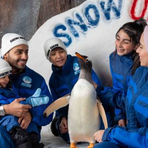Snow Oman – Top-Rated Attractions Cdxb.com Special Offers, Deals & Discounts in Canada