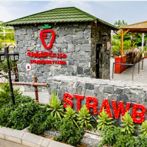 Strawberry Farm – Top-Rated Attractions Cdxb.com Special Offers, Deals & Discounts in Canada