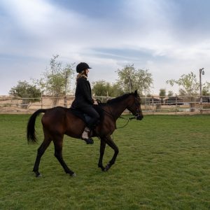 Sunset Horse Riding at Al Marmoom Oasis with a 6-Course Bedouin Dinner – Outdoor Attractions Cdxb.com Special Offers, Deals & Discounts in Canada