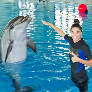 Swimming With Dolphins – Dubai Dolphinarium – Dubai Dolphinarium Cdxb.com Special Offers, Deals & Discounts in Canada