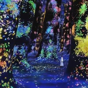 TeamLab Phenomena Abu Dhabi – Museums Cdxb.com Special Offers, Deals & Discounts in Canada