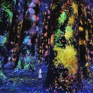 TeamLab Phenomena + Qasr Al Watan – Combo – Recently Added Experiences Cdxb.com Special Offers, Deals & Discounts in Canada