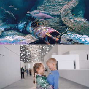 The National Aquarium + Louvre Abu Dhabi – Combo – Combos and more adventures Cdxb.com Special Offers, Deals & Discounts in Canada