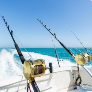 Trolling in Ocean for Big Fish – Top-Rated Attractions Cdxb.com Special Offers, Deals & Discounts in Canada