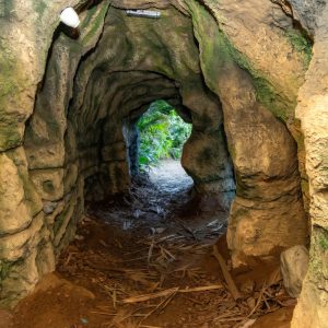 Tropical Land – Top-Rated Attractions Cdxb.com Special Offers, Deals & Discounts in Canada